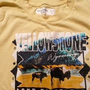 Two lovely 6T shirts